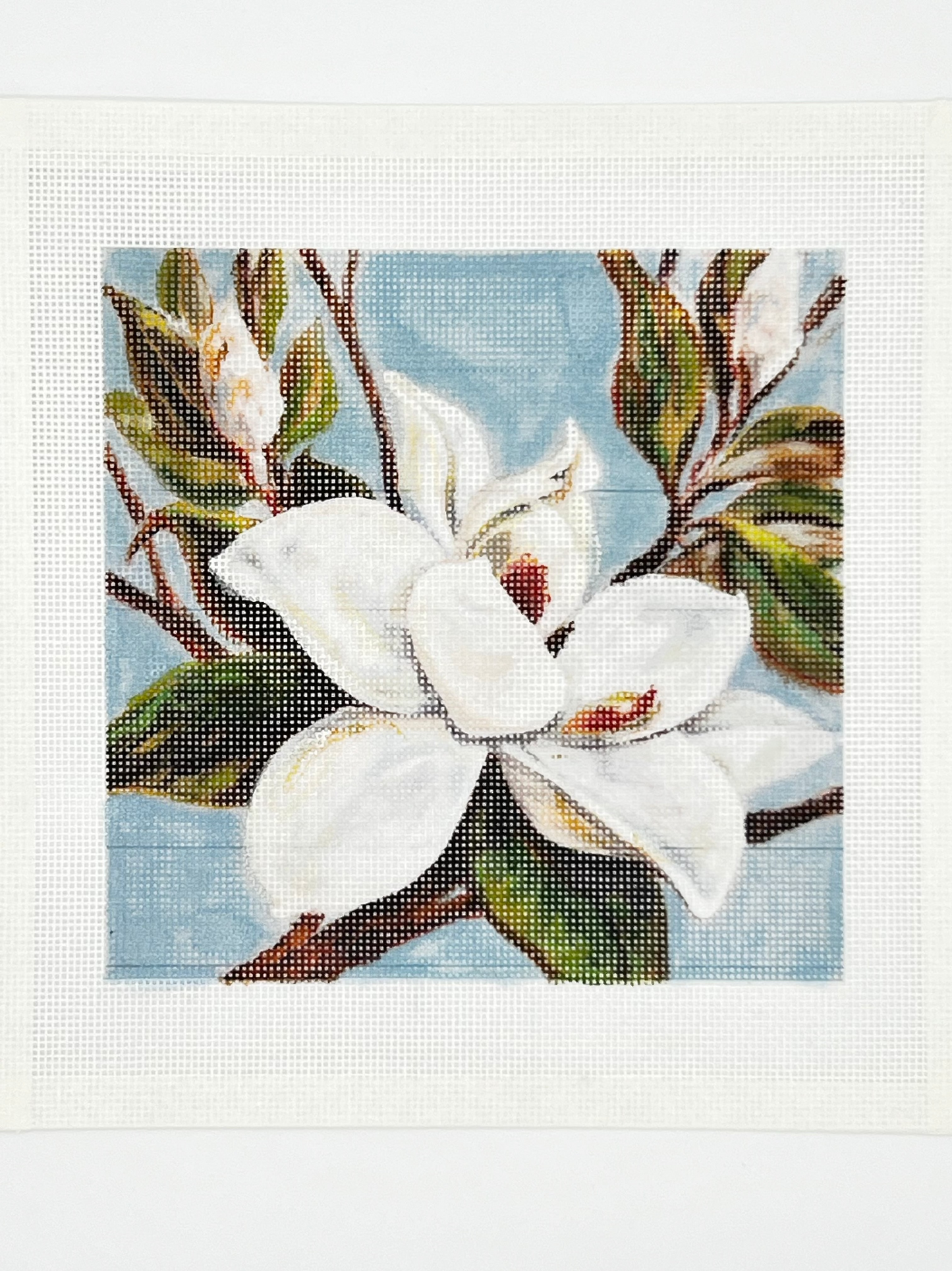Magnolia