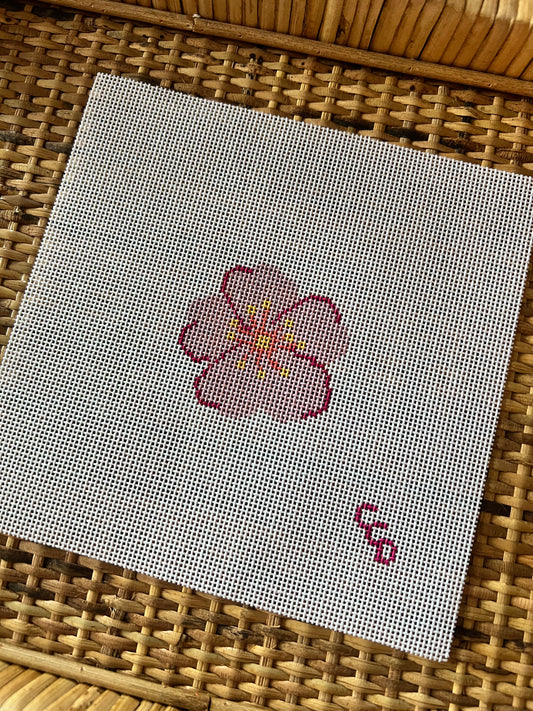 Pink Bloom