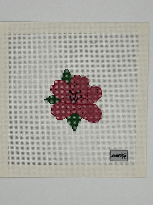Azalea Flower