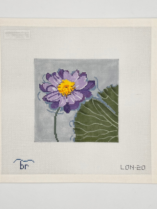 Kew Gardens Water Lily